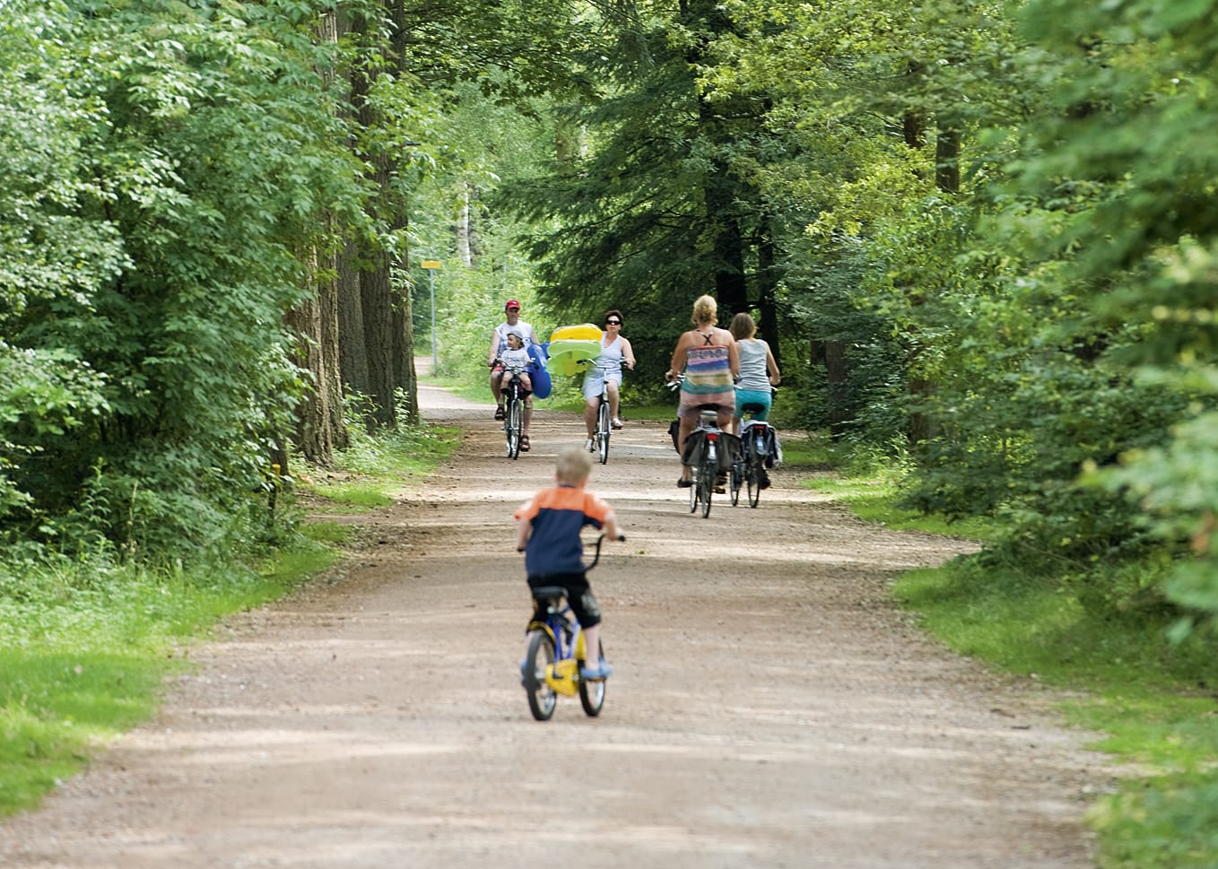 Fietsen in het Drents Friese Wold